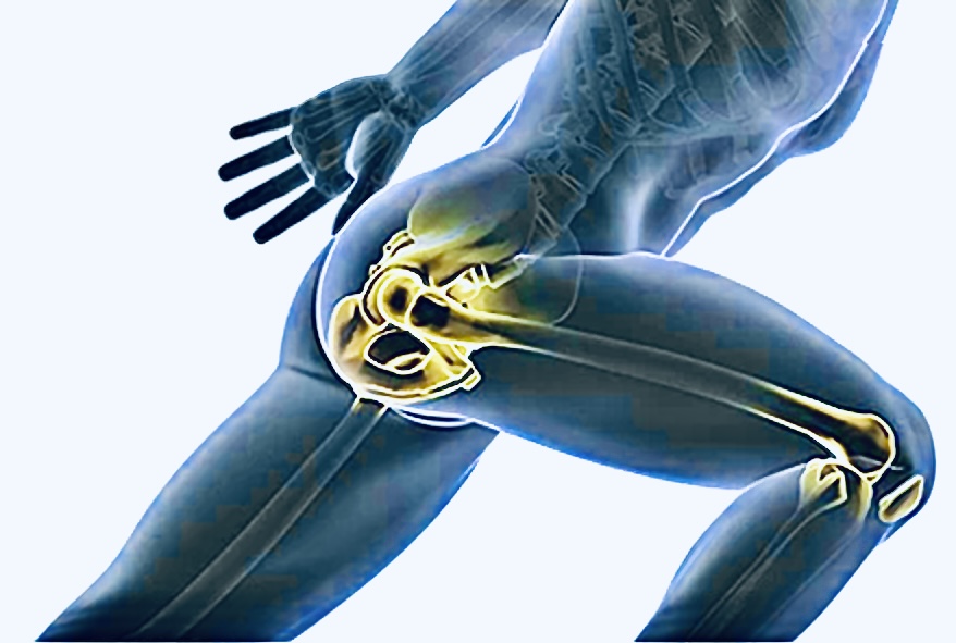 Minimally Invasive Hip and Knee Replacement Surgeon